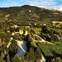 Cortona Winery - Wine Paths